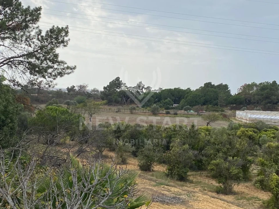 Terreno Misto para Venda em Pechão Foto 13