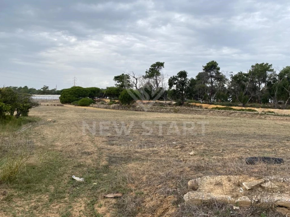 Terreno Misto para Venda em Pechão Foto 15