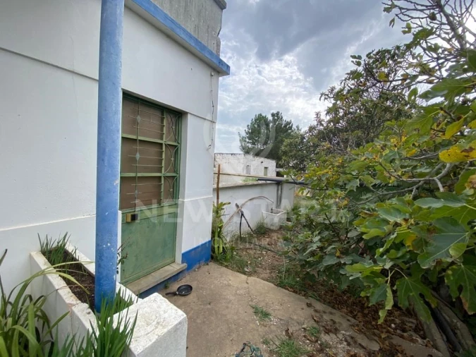 Terreno Misto para Venda em Pechão Foto 10