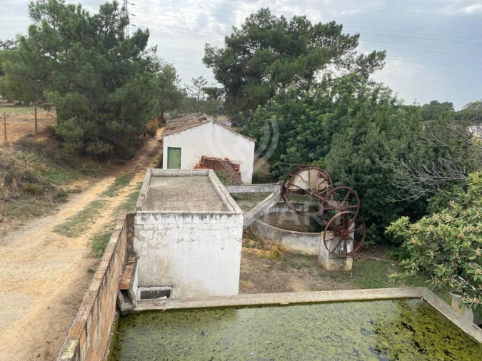 Terreno Misto para Venda em Pechão Foto 2