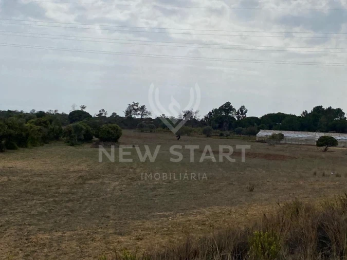 Terreno Misto para Venda em Pechão Foto 6