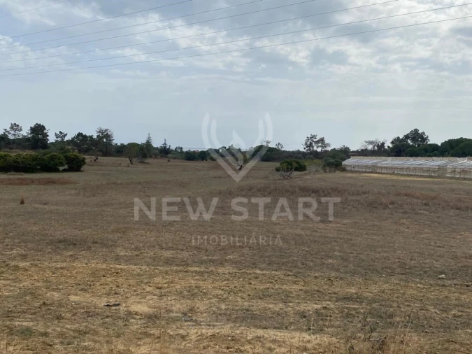 Terreno Misto para Venda em Pechão Foto 7