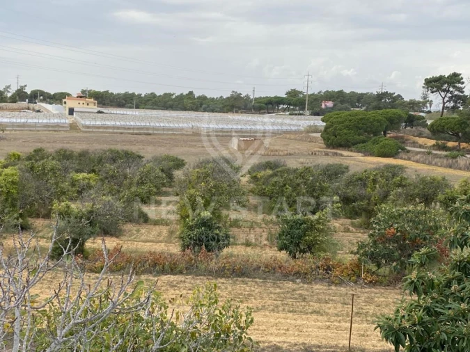 Terreno Misto para Venda em Pechão Foto 8