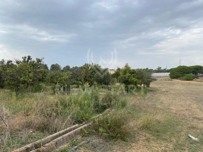 Terreno Misto para Venda em Pechão Foto 11