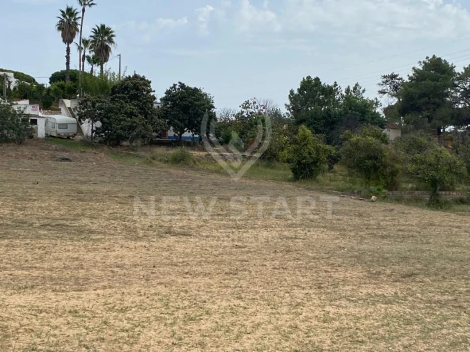 Terreno Misto para Venda em Pechão Foto 12