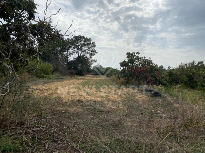 Terreno Misto para Venda em Pechão Foto 14