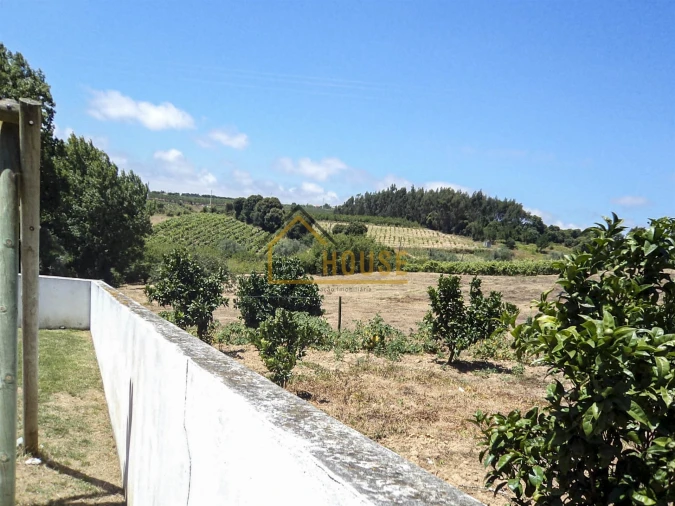 Moradia T3 para Arrendamento em Carvalhal Foto 22