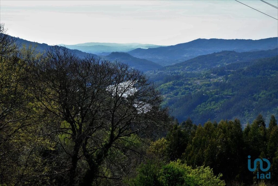 Terreno para Venda em Ventosa e Cova Foto 10