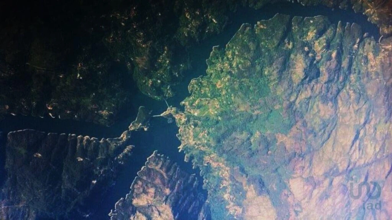 Terreno para Venda em Ventosa e Cova Foto 13