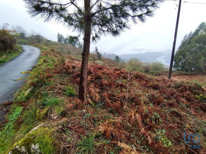Terreno para Venda em Ventosa e Cova Foto 6