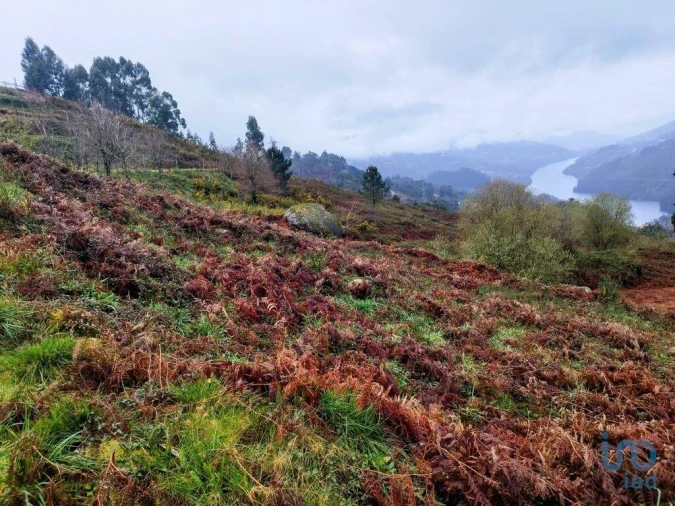 Terreno para Venda em Ventosa e Cova Foto 9