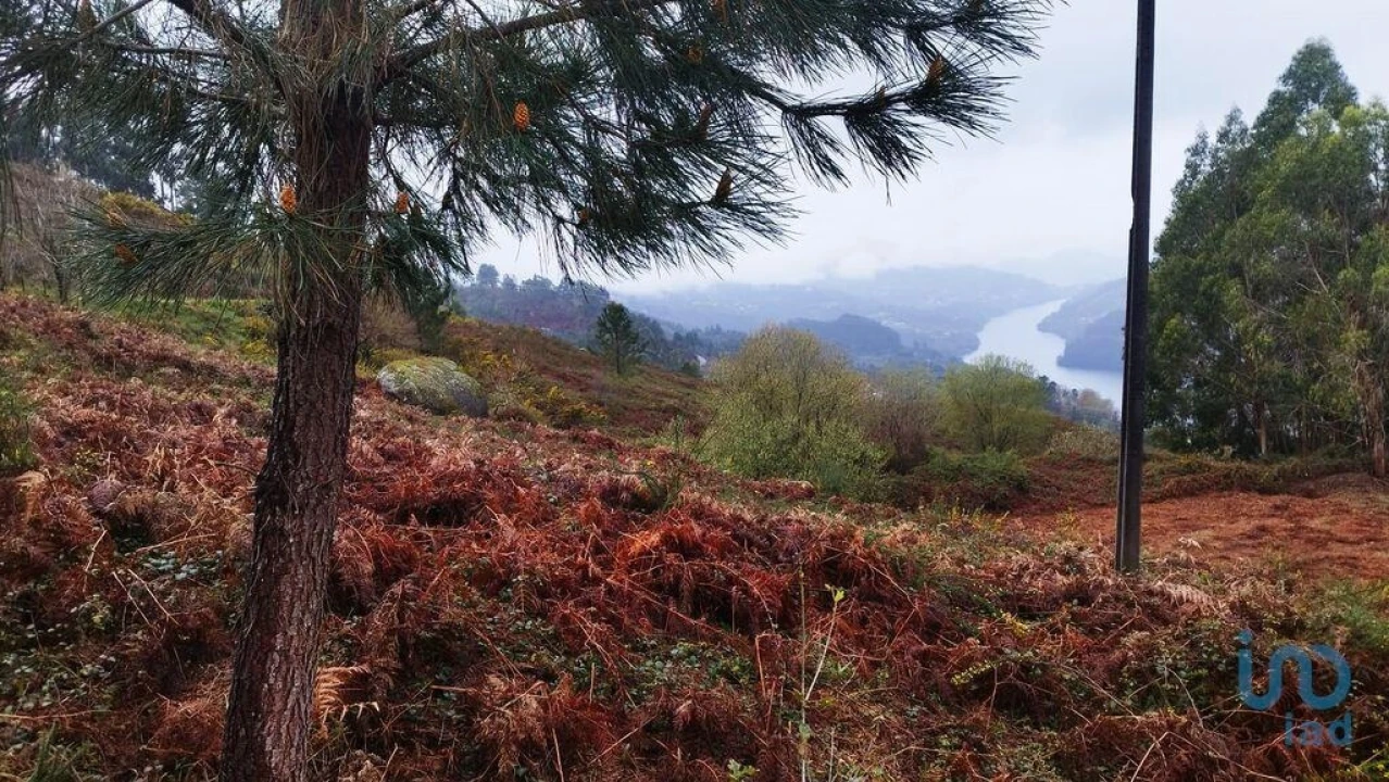 Terreno para Venda em Ventosa e Cova Foto 8
