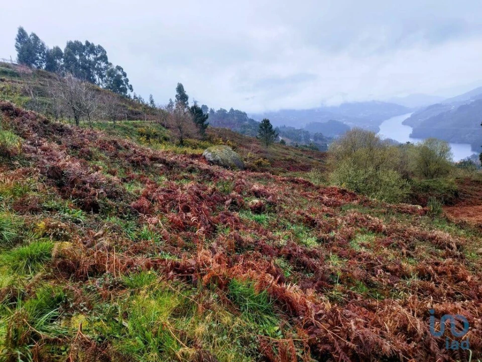 Terreno para Venda em Ventosa e Cova Foto 9