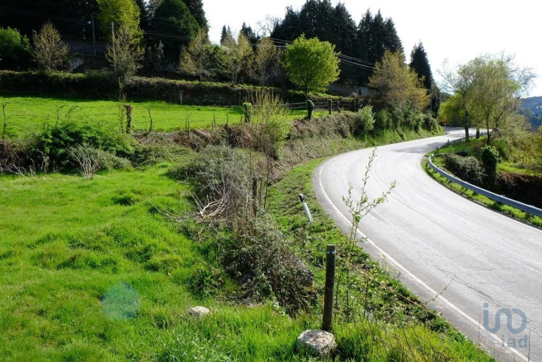 Terreno para Venda em Ventosa e Cova Foto 11