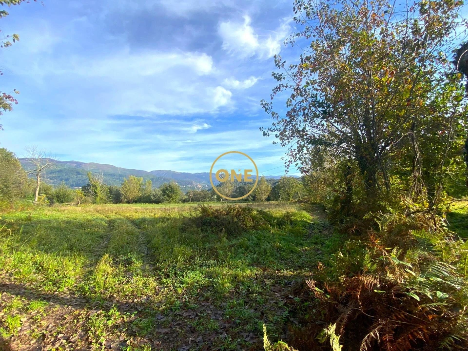 Terreno para Venda em Souto Foto 1