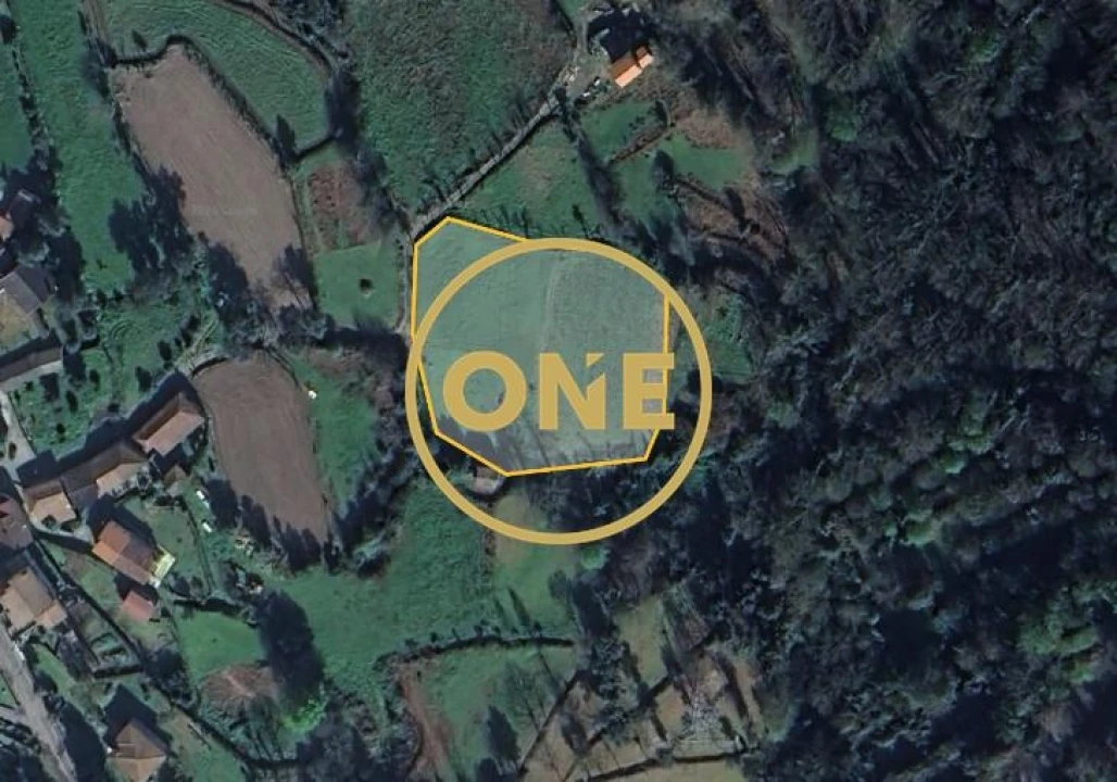 Terreno para Venda em Souto Foto 2