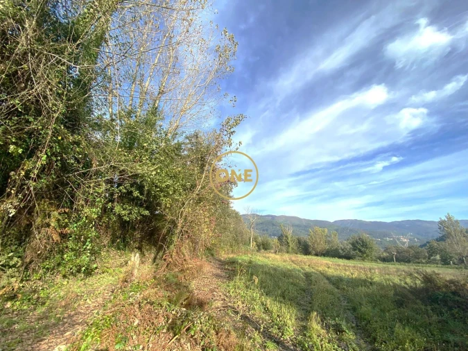 Terreno para Venda em Souto Foto 4