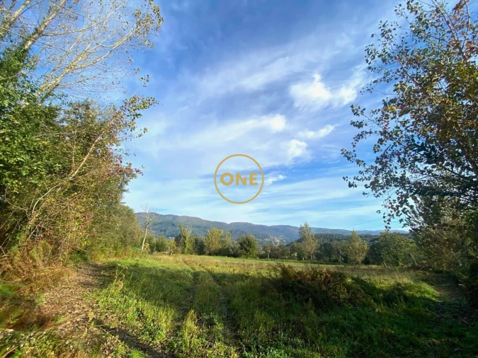 Terreno para Venda em Souto Foto 6