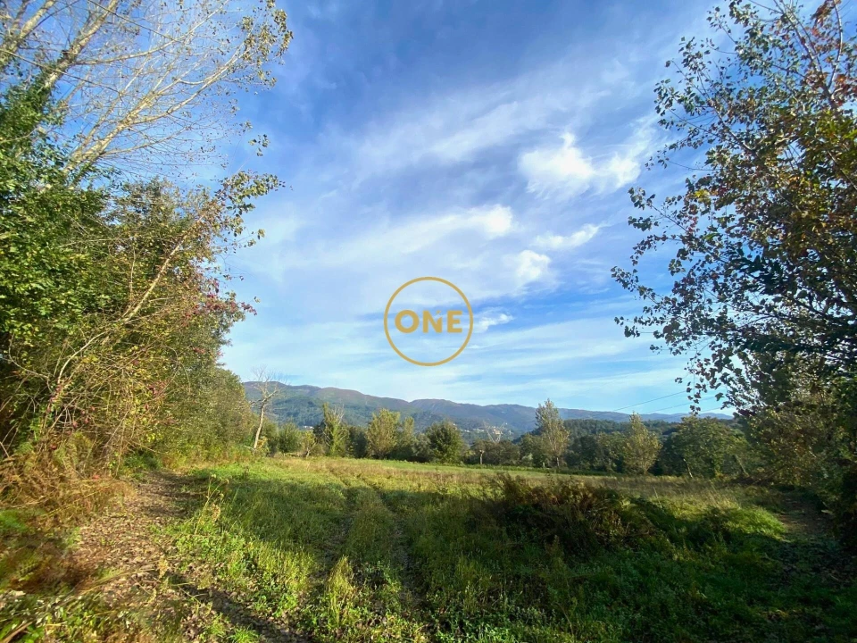 Terreno para Venda em Souto Foto 6