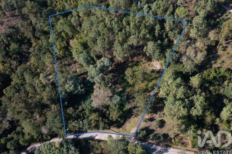 Terreno para Venda em Sarzedo Foto 3