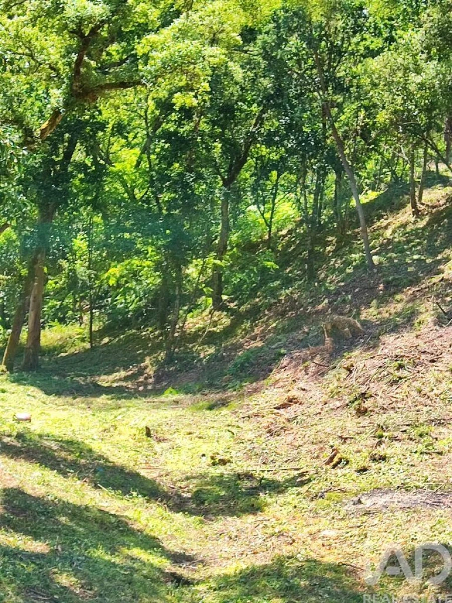 Terreno para Venda em Sarzedo Foto 12
