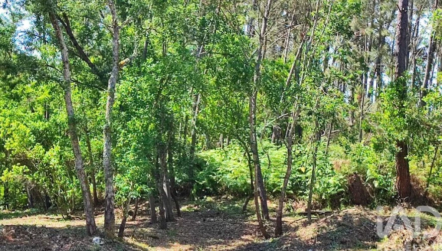 Terreno para Venda em Sarzedo Foto 10