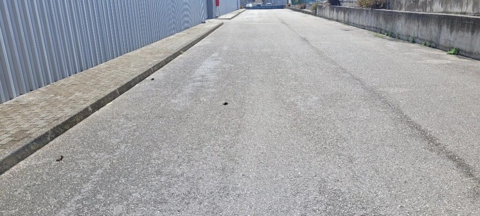 Armazém para Venda em Coz, Alpedriz e Montes Foto 21