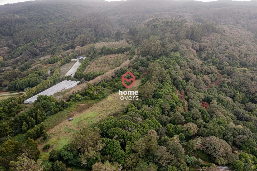 Terreno para Venda em Colares Foto 16