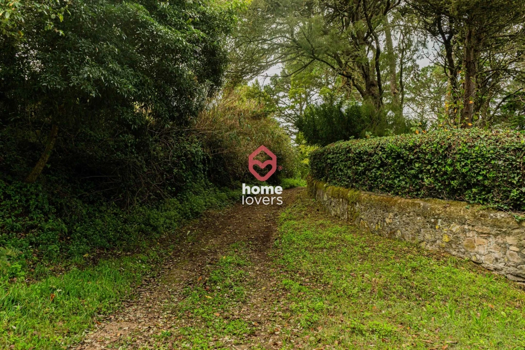 Terreno para Venda em Colares Foto 5