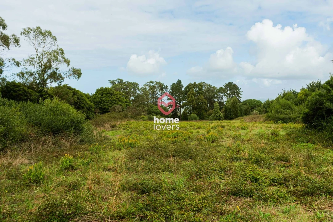 Terreno para Venda em Colares Foto 4