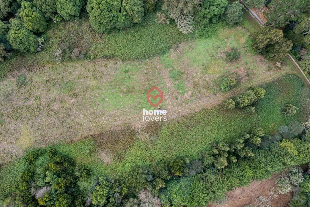 Terreno para Venda em Colares Foto 19