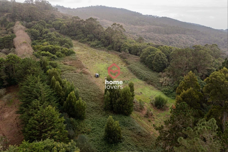 Terreno para Venda em Colares Foto 10