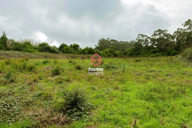 Terreno para Venda em Colares Foto 3