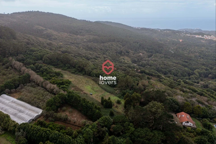 Terreno para Venda em Colares Foto 17
