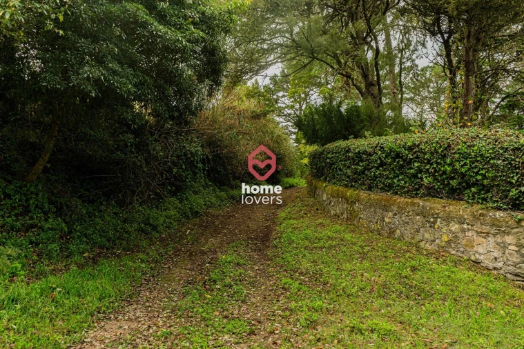 Terreno para Venda em Colares Foto 5