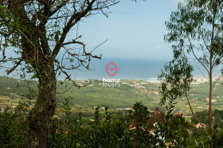 Terreno para Venda em Colares