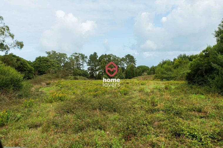 Terreno para Venda em Colares Foto 2