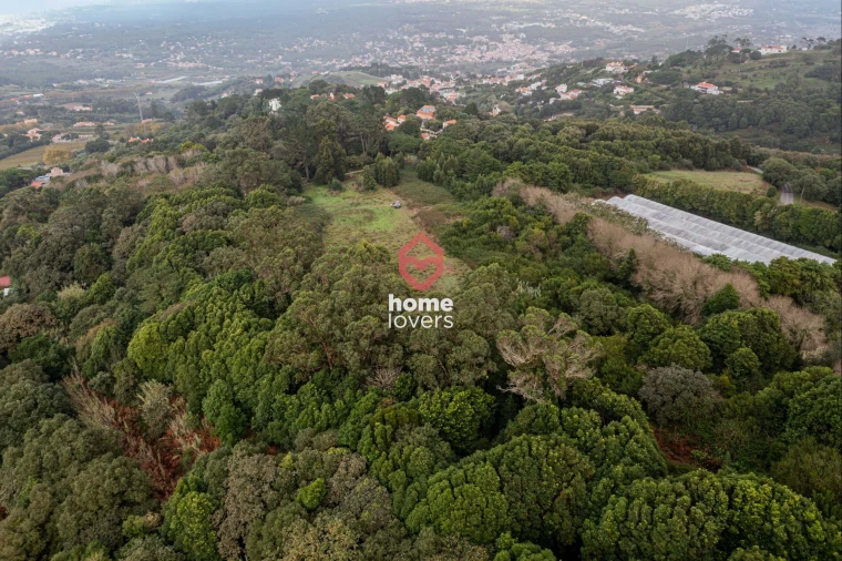 Terreno para Venda em Colares Foto 15