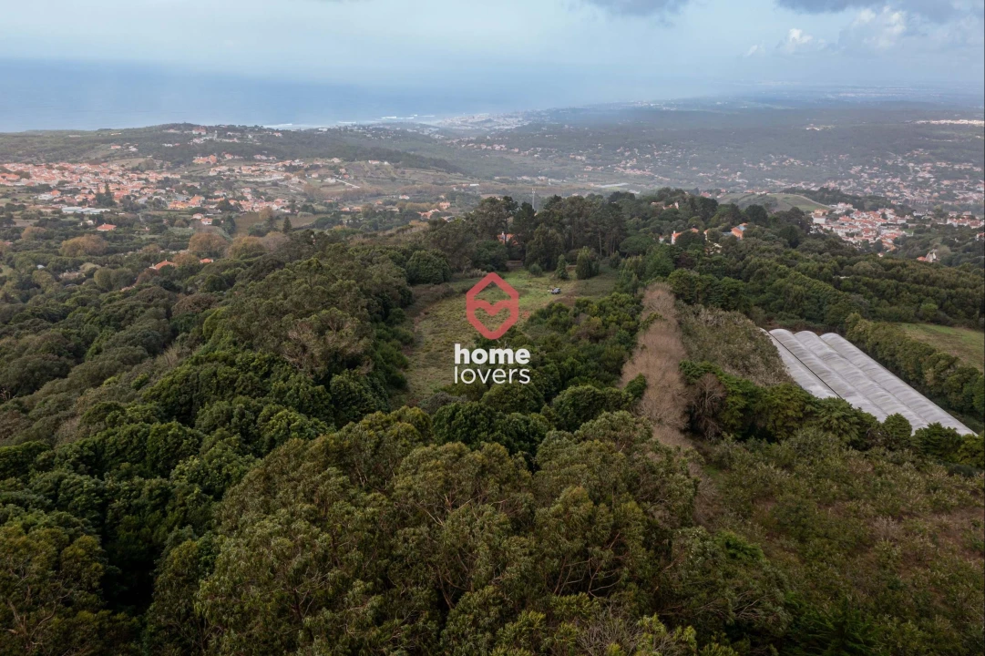 Terreno para Venda em Colares Foto 14
