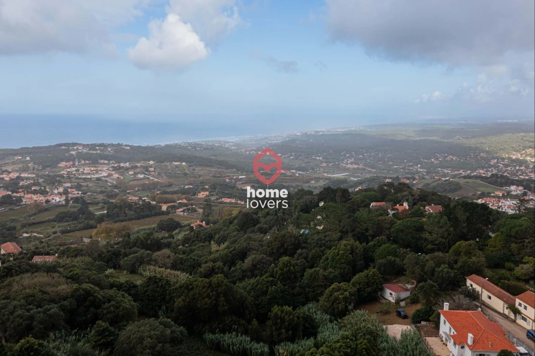Terreno para Venda em Colares Foto 8
