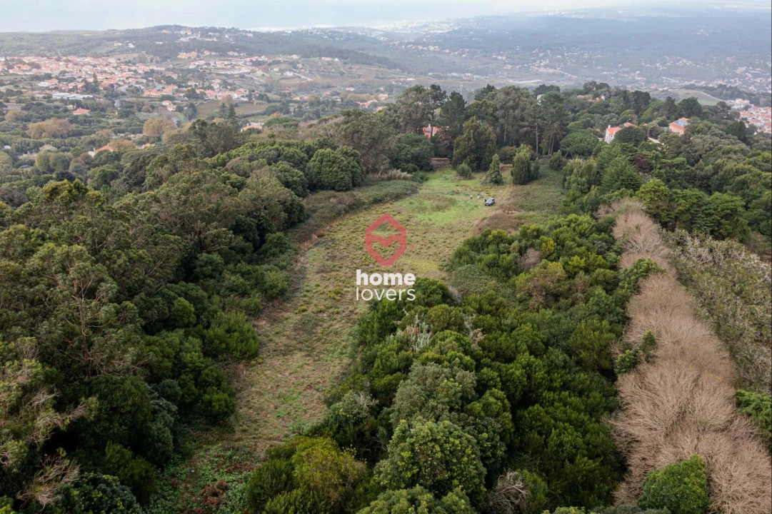 Terreno para Venda em Colares Foto 13