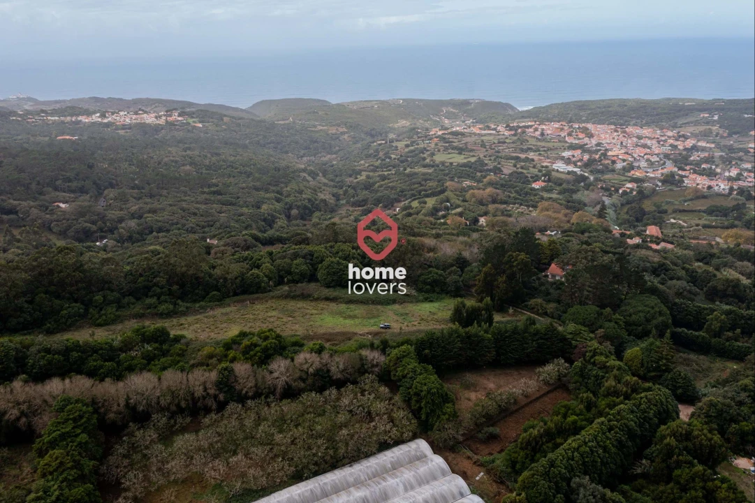Terreno para Venda em Colares Foto 18