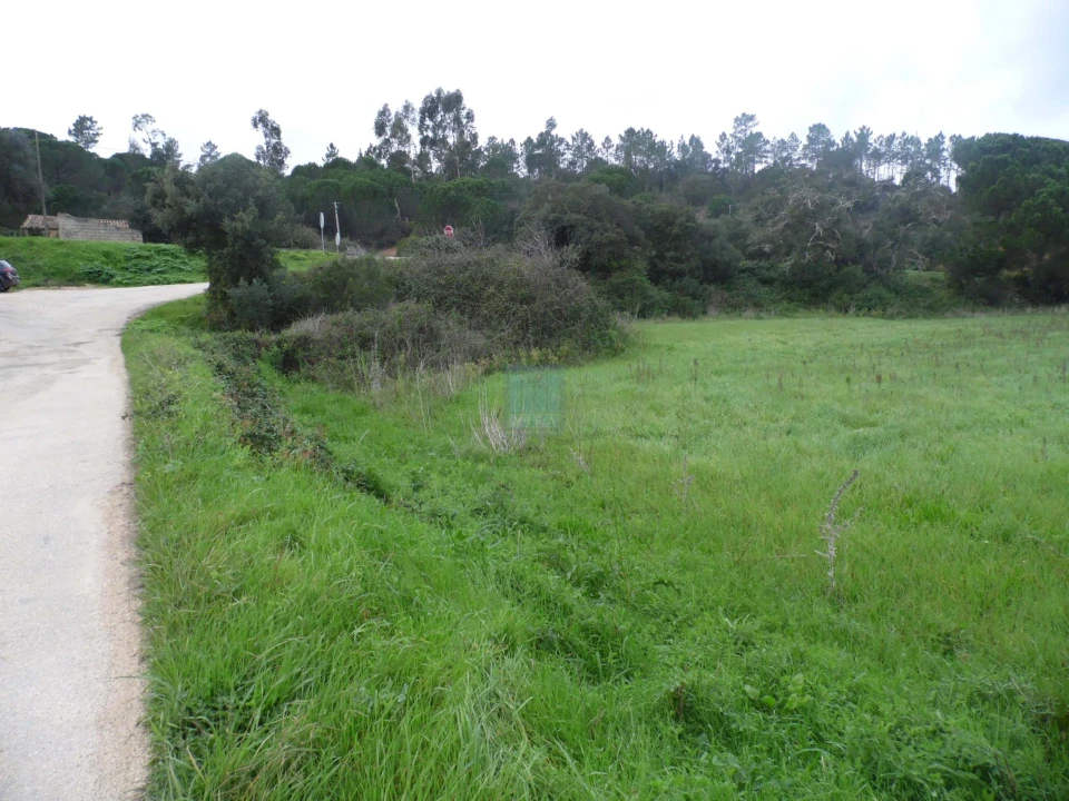 Quinta T3 para Venda em Aljezur Foto 8