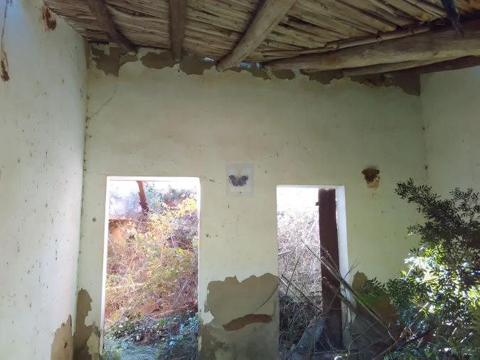 Quinta T3 para Venda em Aljezur Foto 5