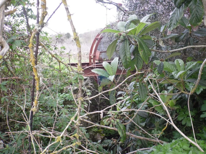 Quinta T3 para Venda em Aljezur Foto 10