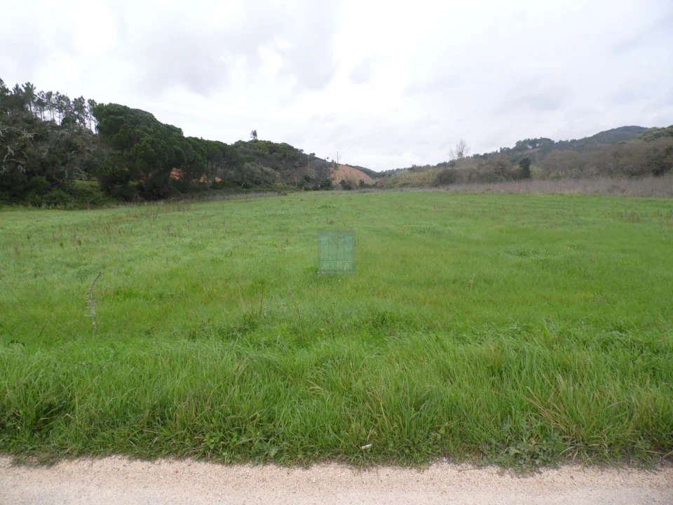 Quinta T3 para Venda em Aljezur Foto 9