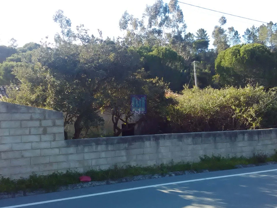 Quinta T3 para Venda em Aljezur Foto 4