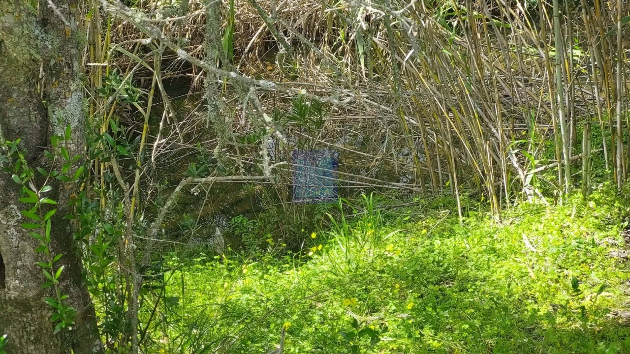 Quinta T2 para Venda em São Silvestre Foto 34