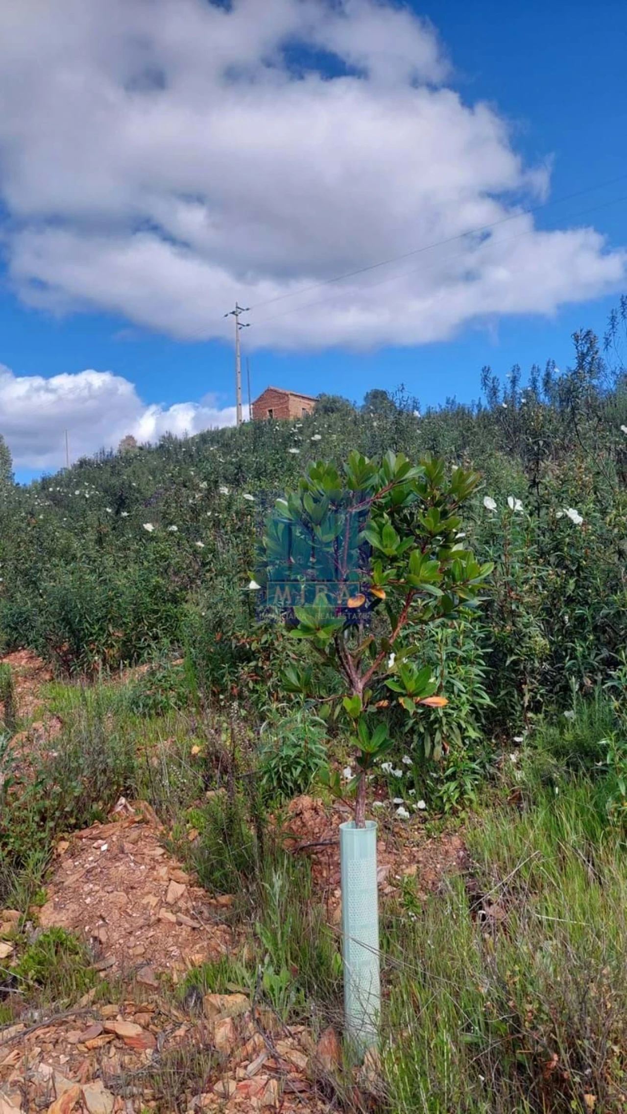 Quinta T2 para Venda em São Silvestre Foto 22