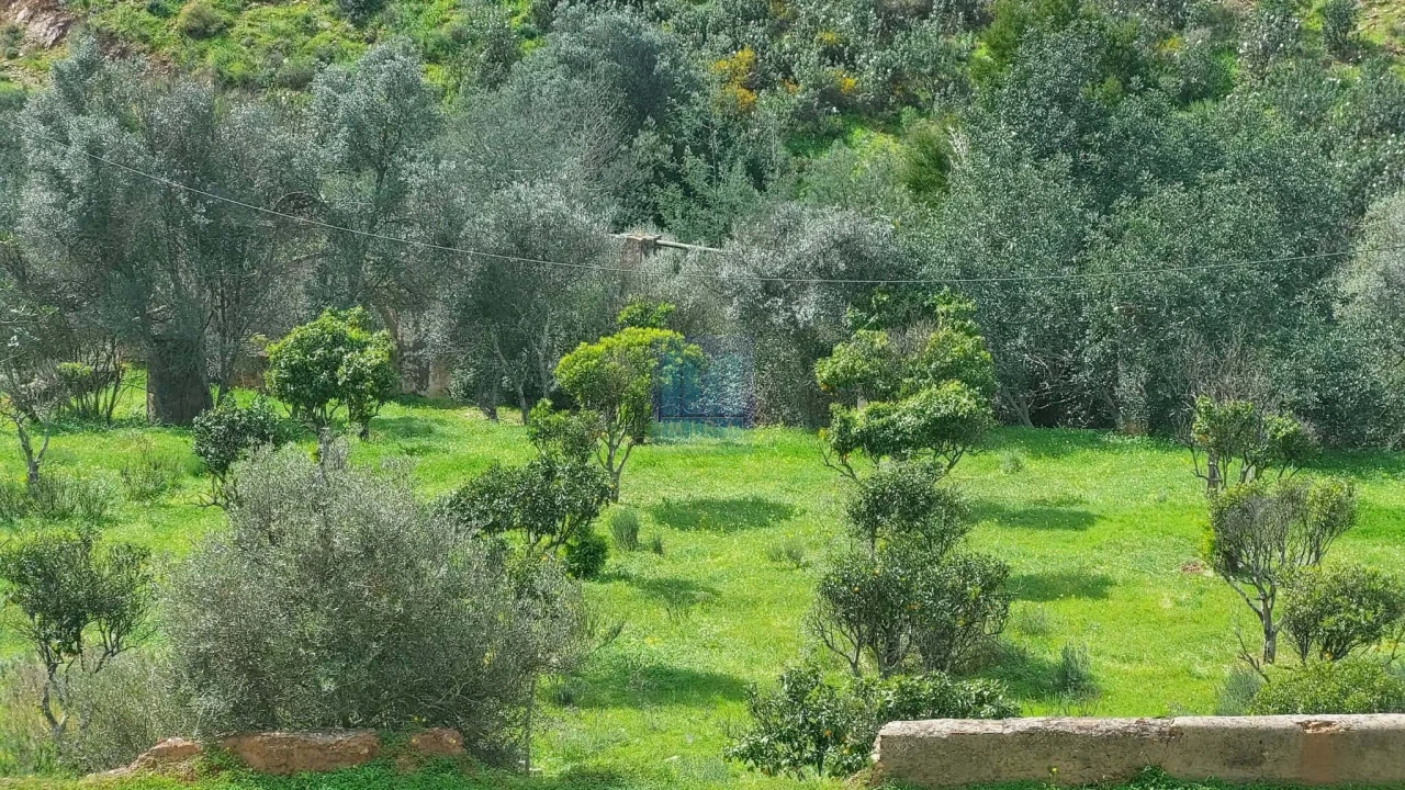 Quinta T2 para Venda em São Silvestre Foto 41